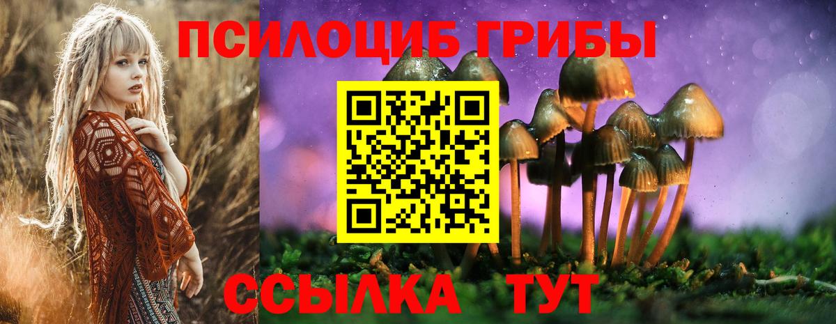 Санкт-Петербург  Псилоцибиновые грибы Psilocybine cubensis  Галлюциногенные грибы Cubensis  Вход с VPN 